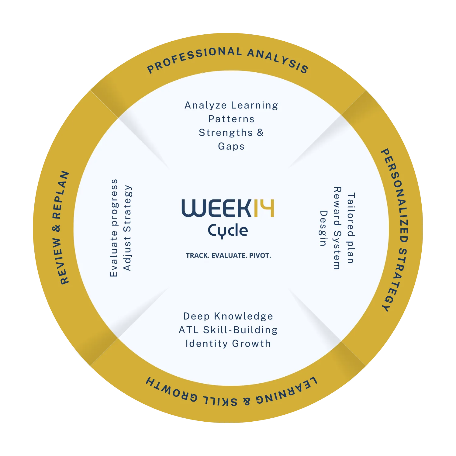 Week14 14-week learning cycle diagram